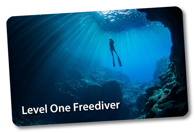 Level 1 Freediver