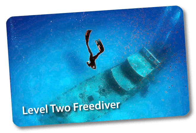 Level 2 Freediver