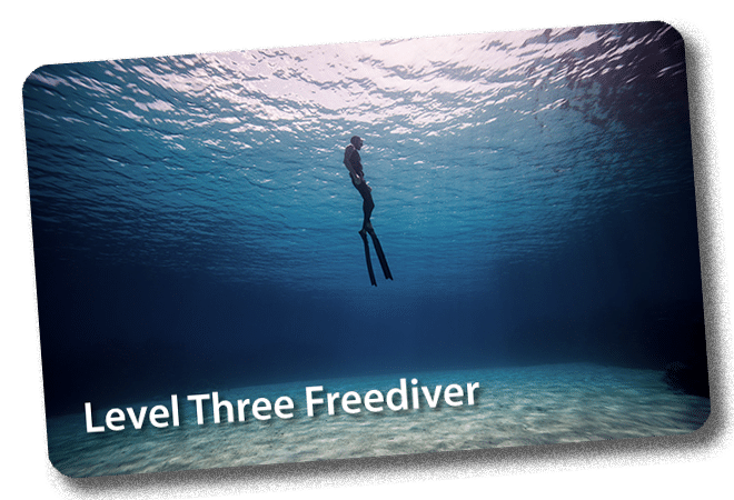 Level 3 Freediver